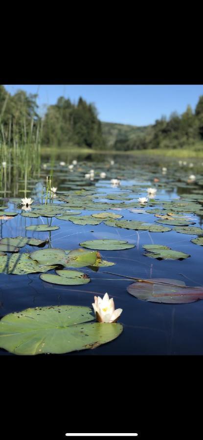 Glamping On Idyllic Lake, Paddle Boards & Rowboat Porsgrunn Exterior foto